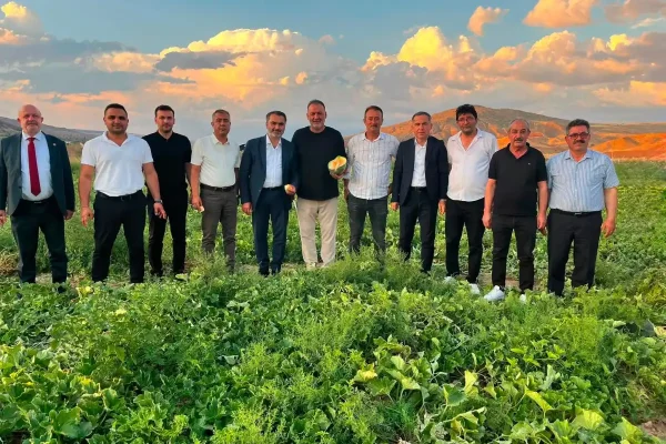 Delice kara kavunu bilimle geleceğe taşınıyor