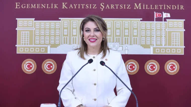 CHP Milletvekili Elvan Işık Gezmiş; fındık ile maden arasında kalmayacağız