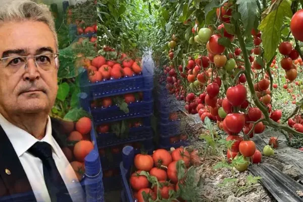 Burdur’da Tefenni için çağrı