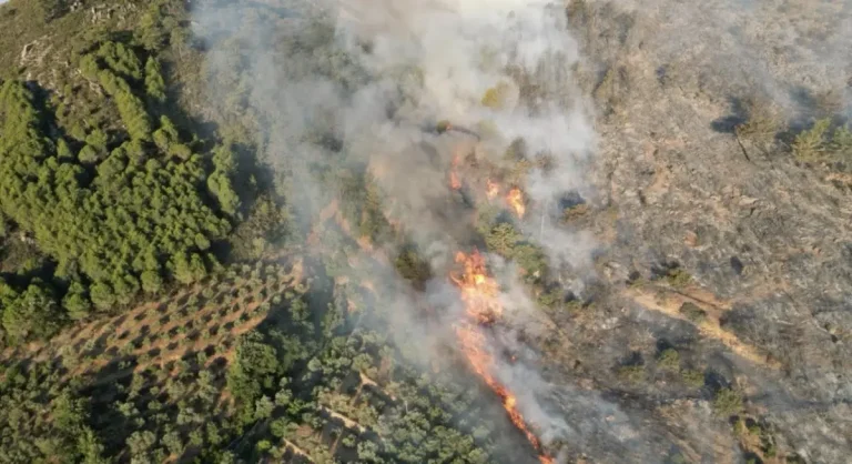 Antalya’da Orman yangını alarmı
