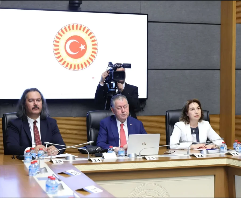 TİMBİR Akademik Kurul Başkanı Prof. Dr. Kamer’den TBMM’de dijital güvenlik sunumu: “Çocukların dijital güvenliği artırılmalı”