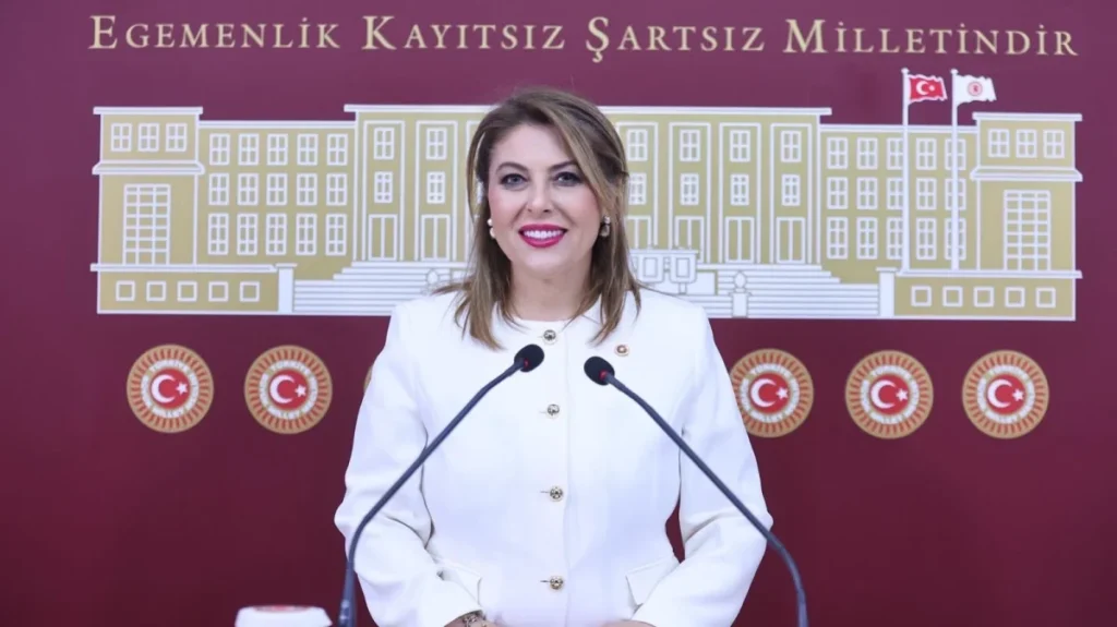 CHP Milletvekili Elvan Işık Gezmiş; fındık ile maden arasında kalmayacağız