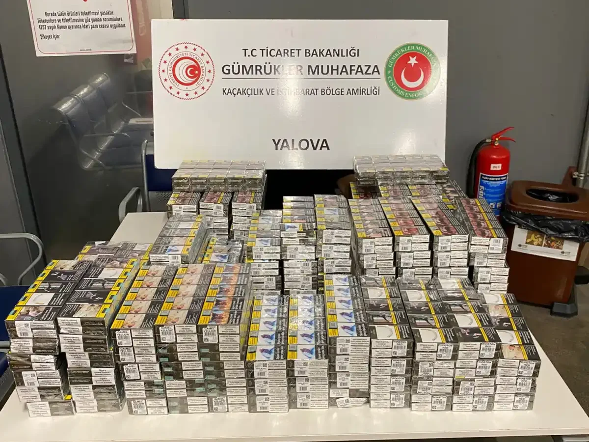 Yalova’da gümrükte kaçak sigara alarmı