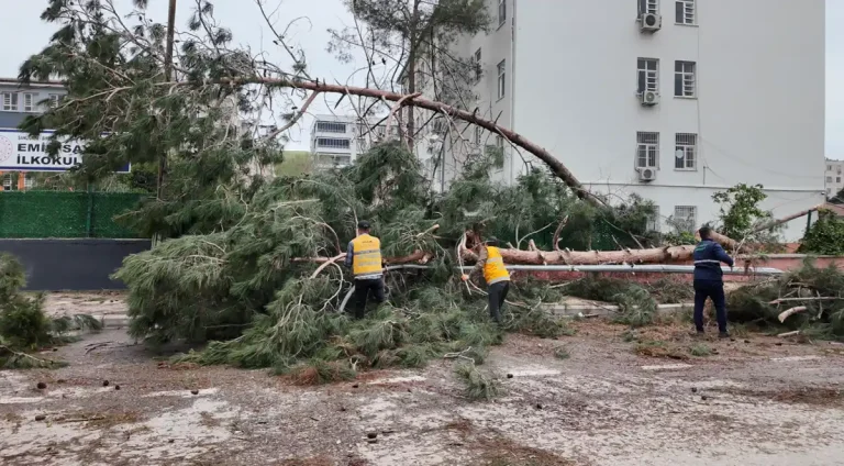 Şanlıurfa Büyükşehir Belediyesi, Birecik’te afetin yaralarını sarıyor