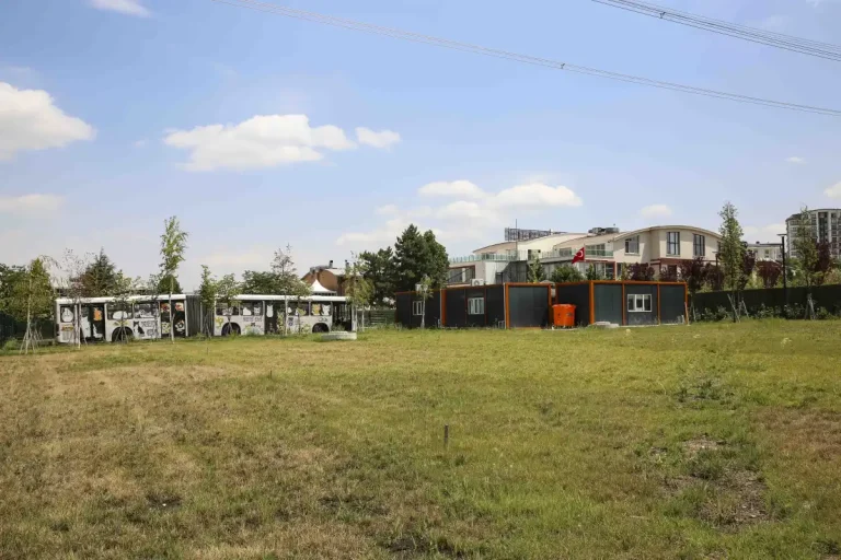 ABB’den kedilere özel merkez