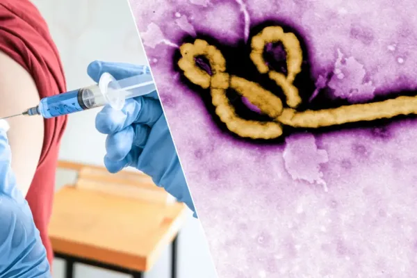 DSÖ’den Ebola uyarısı: “Aşı için 9 ay gerekebilir”