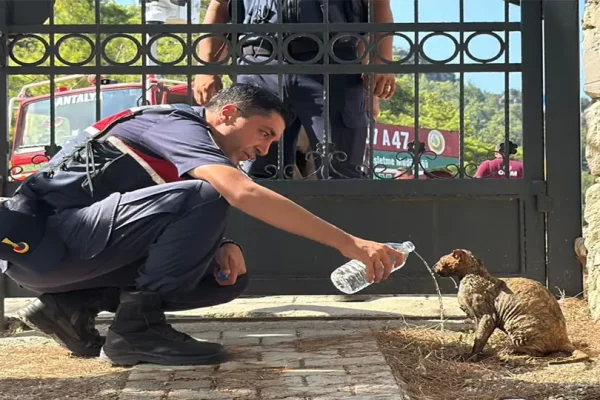 Antalya’da 12 noktada yangın