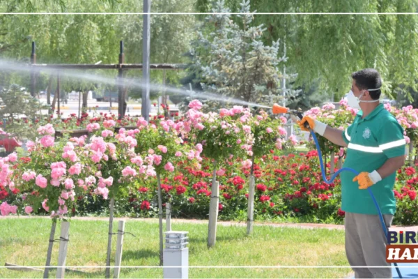 Aksaray’da 48 Mahallede Yaz Boyunca İlaçlama Çalışması