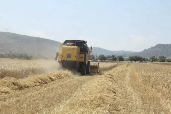 Tarım-ÜFE ağustosta yüzde 0,93 geriledi