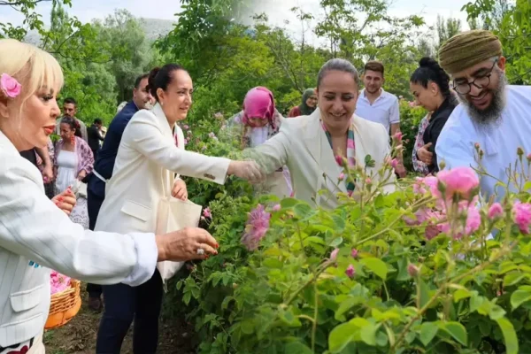 Ağlasun’da gül hasadı coşkusu: Safiye Soyman da katıldı