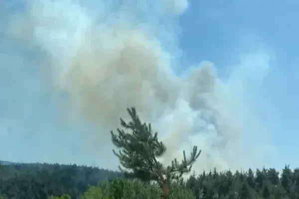 Bursa’da 3 noktada orman yangını