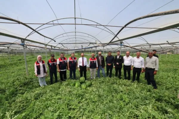 Siirt tarımında bir ilk