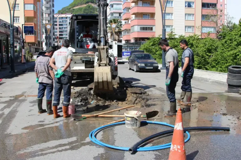 Giresun’un mahalleleri yaza hazırlanıyor