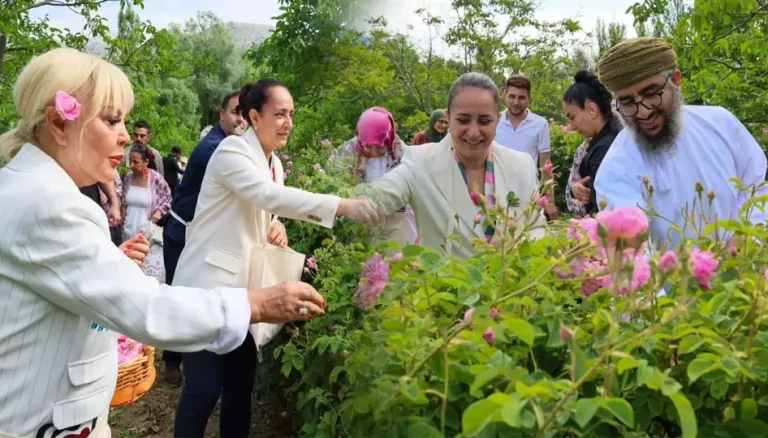 Ağlasun’da gül hasadı coşkusu: Safiye Soyman da katıldı