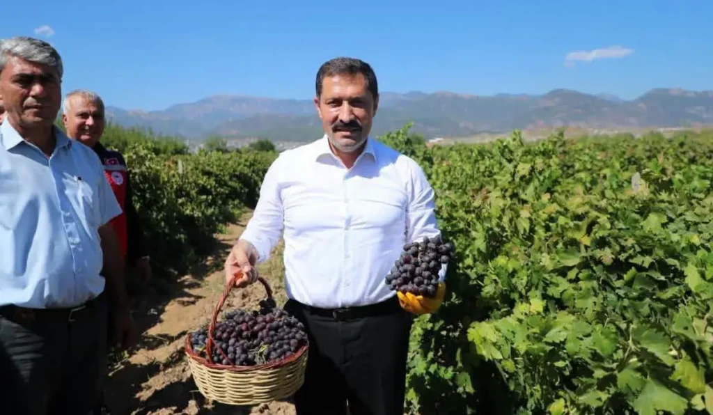 Hatay’da 85 bin ton üzüm rekoltesi bekleniyor
