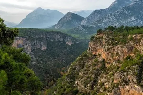 Antalya, Türkiye’nin orman başkenti: 11,7 milyon dönümlük yeşil güce sıkı koruma