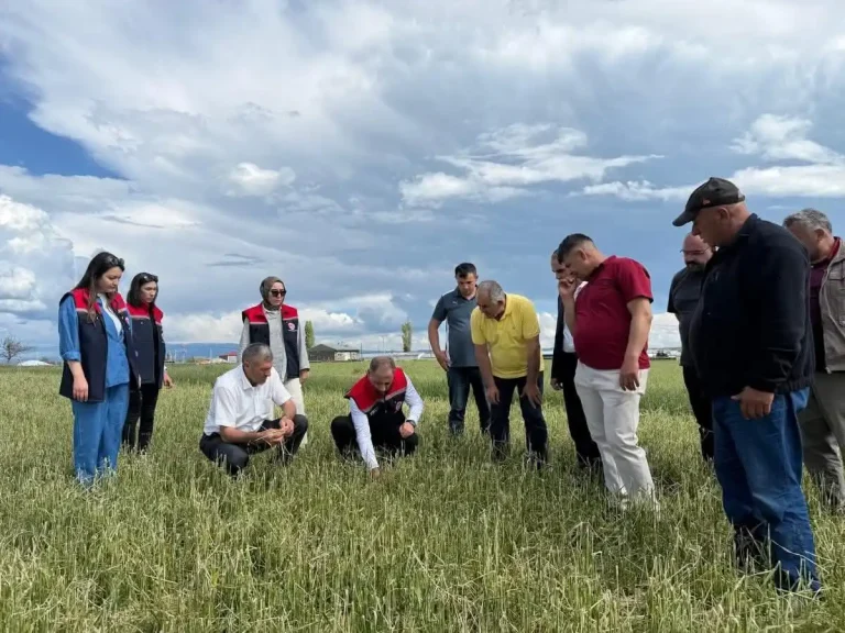 Akyaka’da zarar tespit çalışmaları titizlikle sürüyor