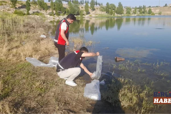 Ağaçören’de göletlere 6 bin yavru sazan bırakıldı