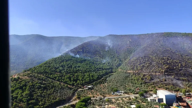 Yalova-Bursa sınırındaki yangın kontrol altına alındı