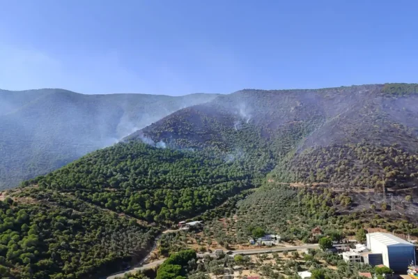 Yalova-Bursa sınırındaki yangın kontrol altına alındı