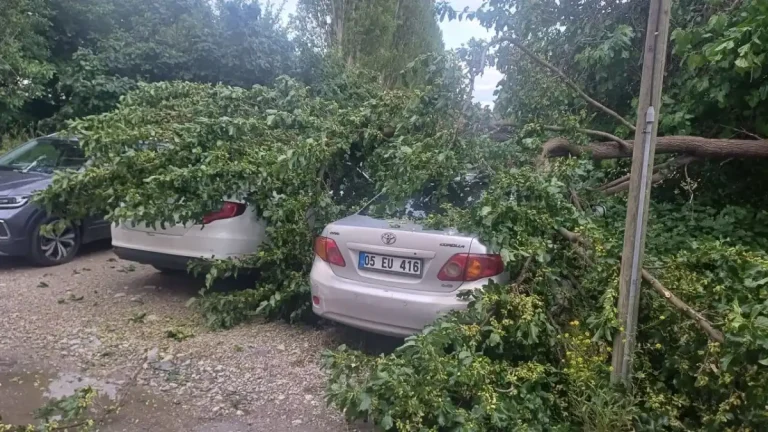 Çorum’da şiddetli yağış sonrası ağaç devrildi araçlar hasar gördü