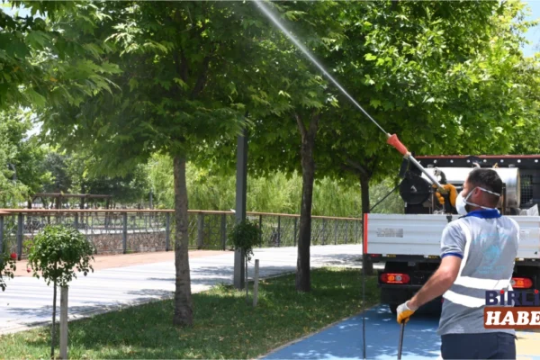 Aksaray’da Haşereye Karşı Seferberlik