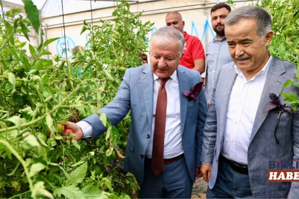 Gücünkaya Köyü’nde Devlet Destekli Seralar İncelendi