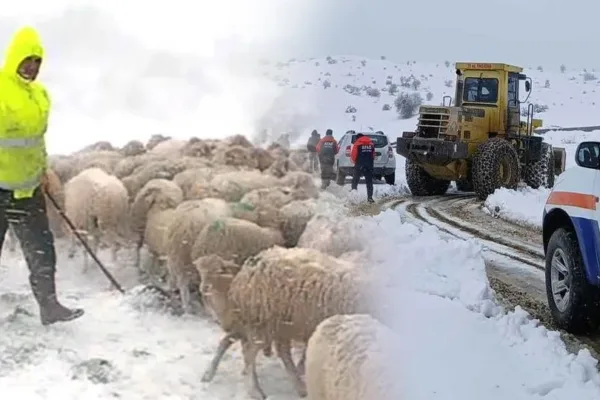 Yalvaç’ta mahsur kalan sürü kurtarıldı