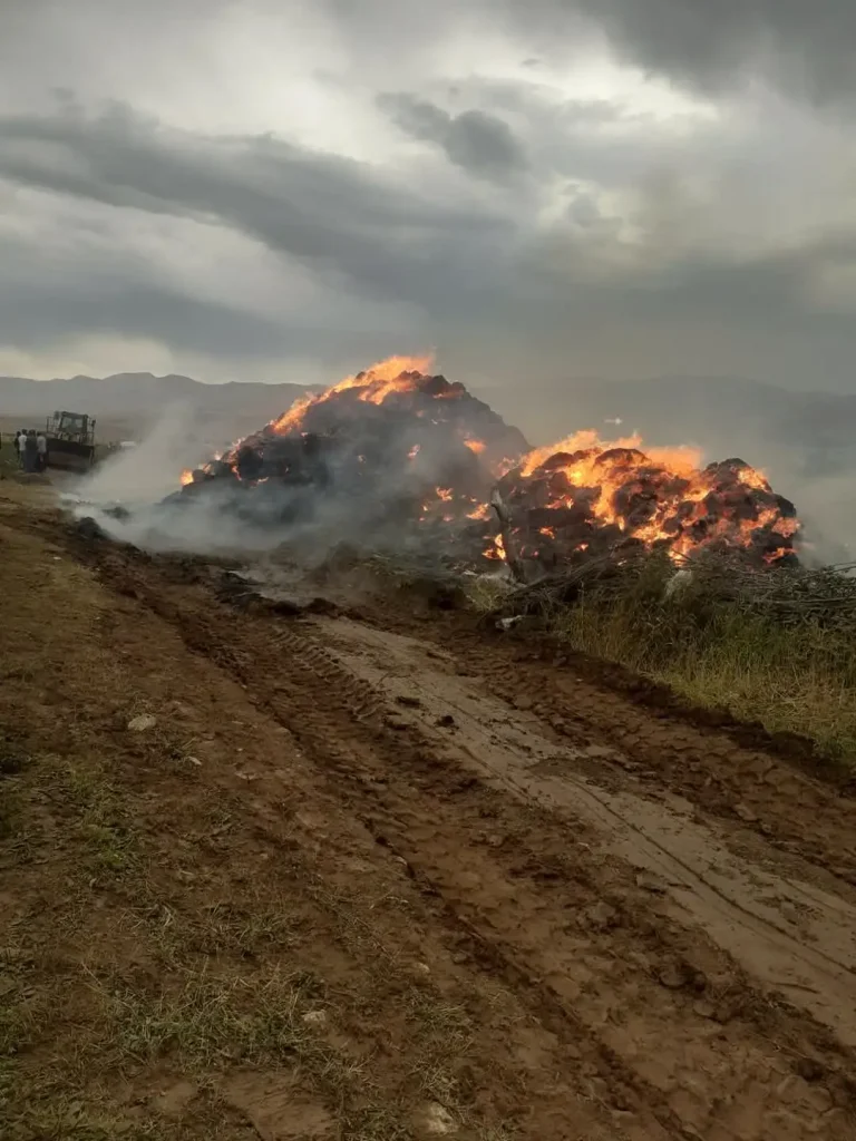 Çat’ta yıldırım düştü, otluk alanda yangın çıktı