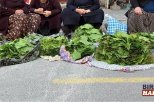 Aksaray’da Sezonun İlk Asma Yaprakları Tezgâhlarda Yerini Aldı