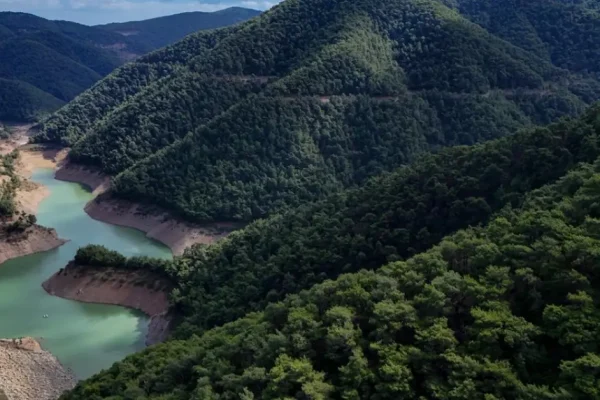 Yaz öncesi ormanlık alanlara giriş yasağı başladı