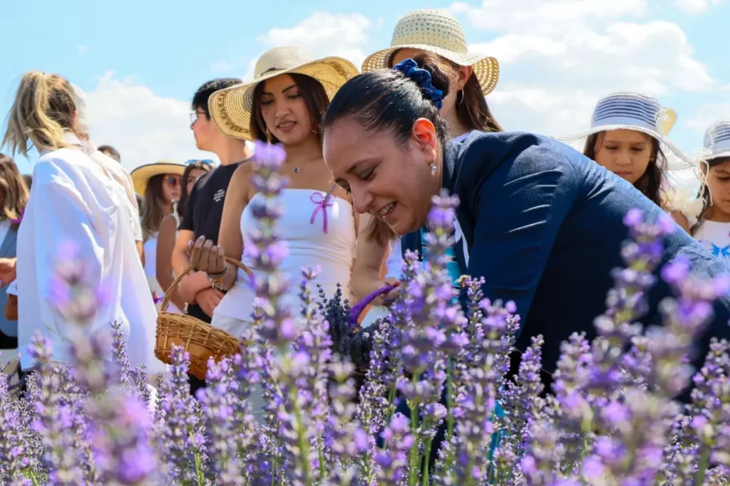 Burdur’da lavanta günleri renkli görüntülerle tamamlandı