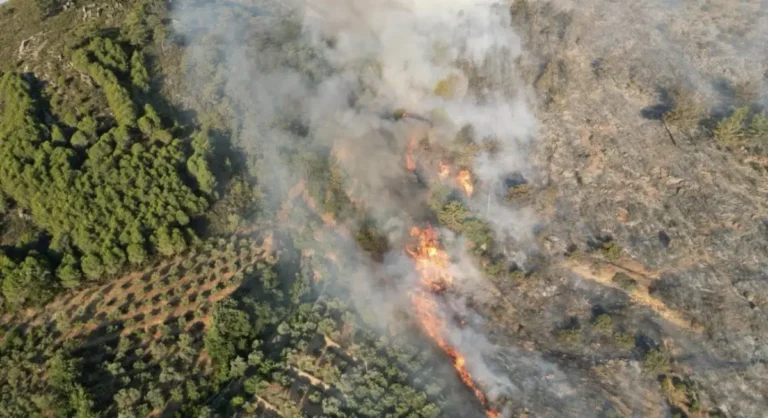 Antalya’da Orman yangını alarmı