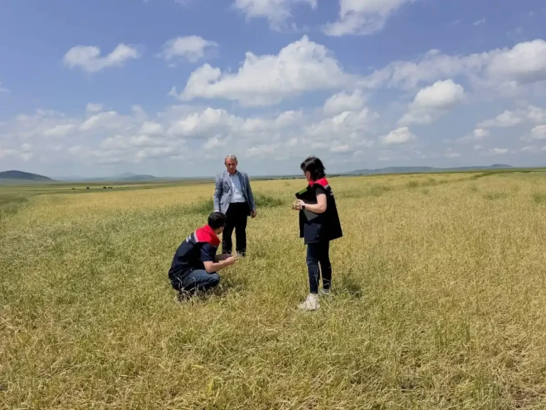 Kars’ta köylerde hasar tespit çalışmaları başlatıldı