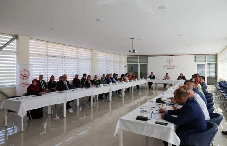Kadına yönelik şiddetle mücadelede yeni adımlar masaya yatırıldı