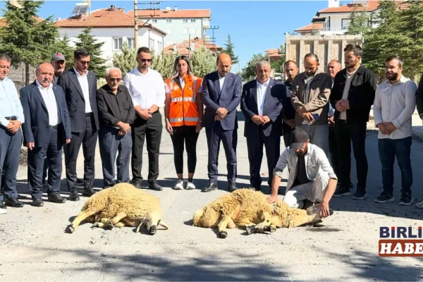 Gülağaç’ta sıcak asfalt sevinci! Çalışmalar başladı
