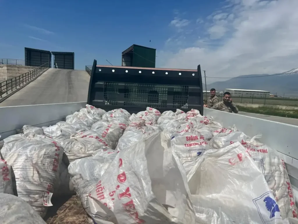 Ağrı’da 2 ton kaçak inci kefali ele geçirildi