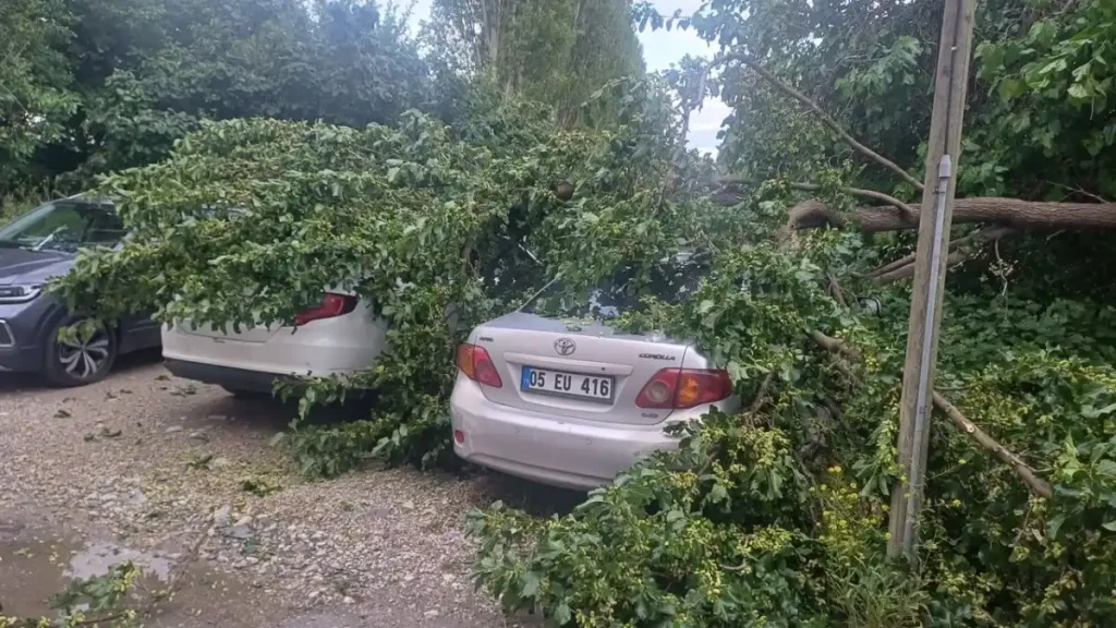 Çorum’da şiddetli yağış sonrası ağaç devrildi araçlar hasar gördü