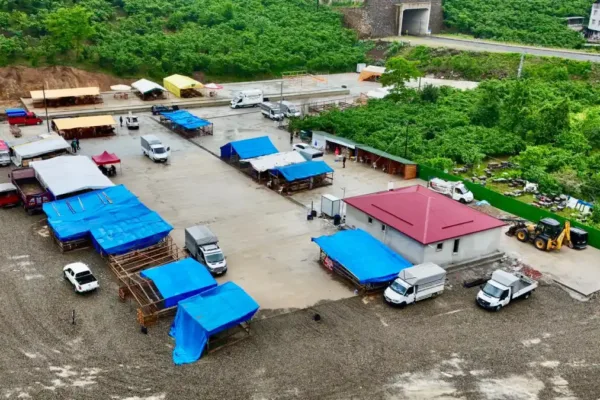 Giresun canlı hayvan pazarı hizmete başladı