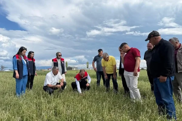 Akyaka’da zarar tespit çalışmaları titizlikle sürüyor