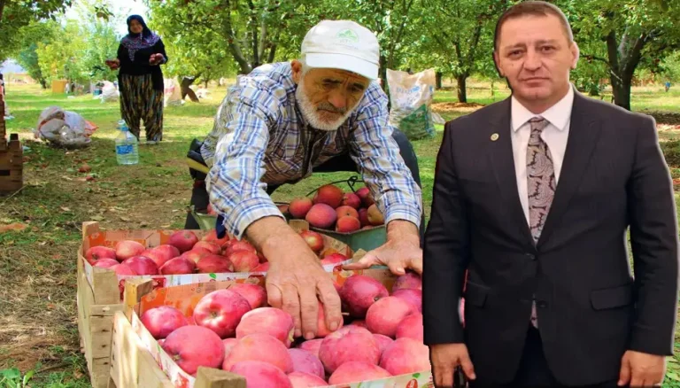 Milletvekili Sönmez açıkladı: Binlerce ton elma alıcı bekliyor