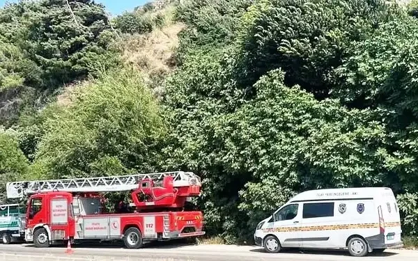 Hatay’da ağaca asılı ceset