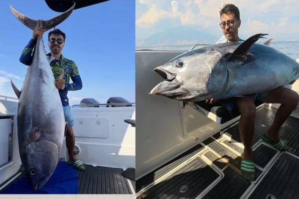 Orkinos avı: 118 kiloluk balık için 2,5 saat mücadele