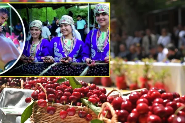 Uluborlu kiraz festivali için geri sayım başladı