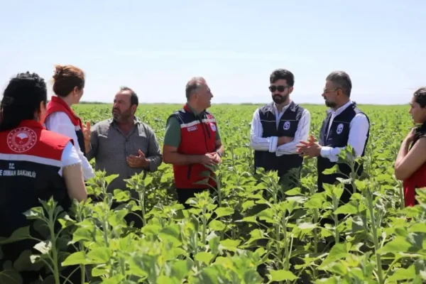 Hatay Büyükşehir Belediyesi’nden üreticiye destek