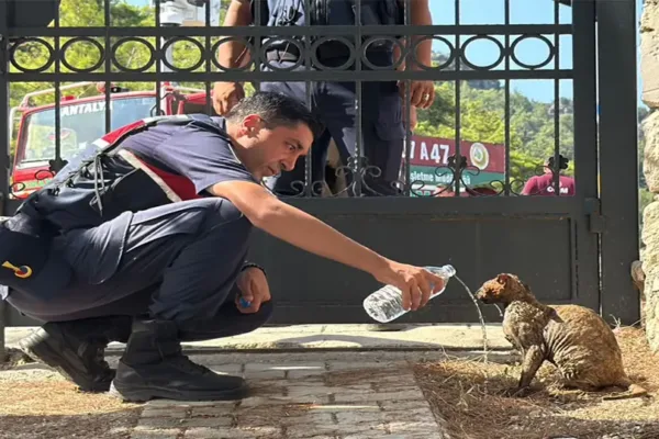 Antalya’da 12 noktada yangın