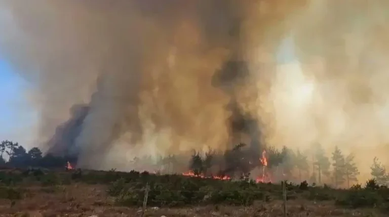 Kahramanmaraş’ta orman yangını: Ekipler seferber oldu