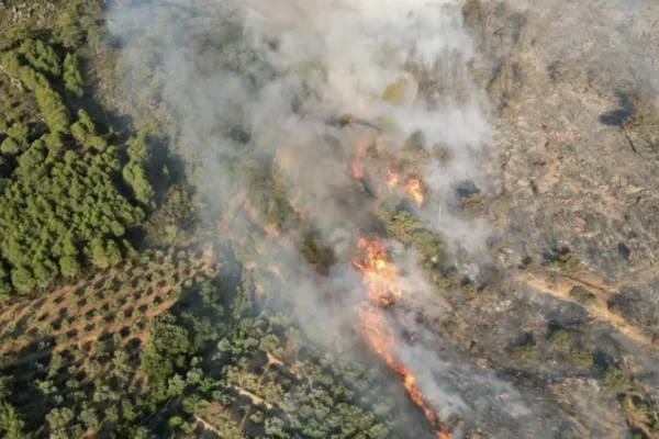 Antalya’da Orman yangını alarmı