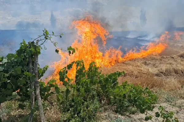Anız yangını bağ evlerine sıçradı: 3 ev yandı
