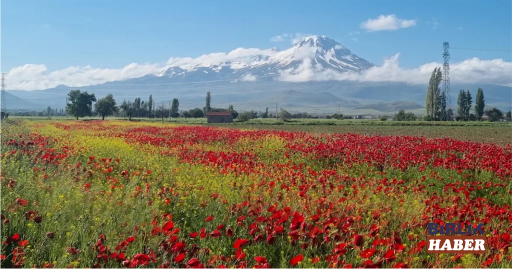 Aksaray’da Hasan Dağı Bahar Manzarası Hayran Bırakıyor